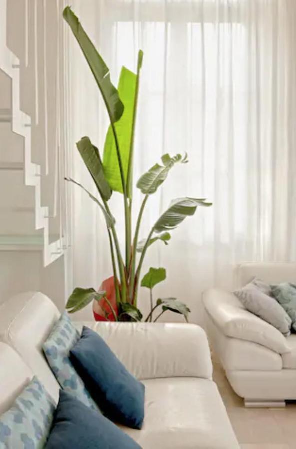 Amazing Sea View Flat Villa Tirrenia Buitenkant foto